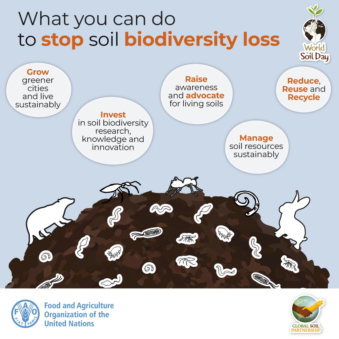 Stoping Soil Biodiversity Loss_Paushtik Life 